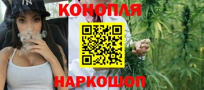 сатива Балаково