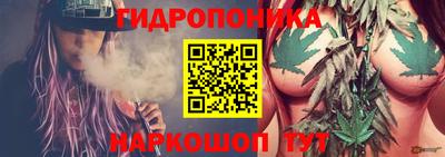 сатива Балаково
