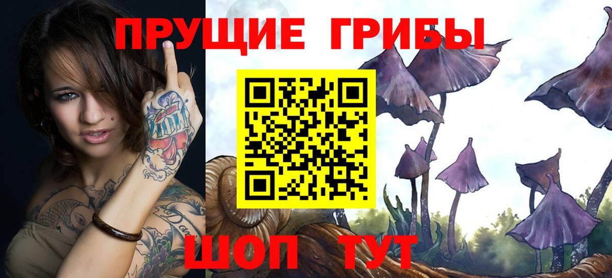 Псилоцибиновые грибы мицелий  Вход с VPN  Гуково  Псилоцибиновые грибы прущие грибы 