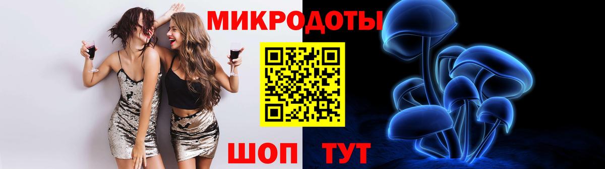Галлюциногенные грибы Psilocybe Гуково